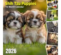 Shih Tzu Puppies 2026 Calendar: Adorable Shih Tzu pups to brighten your year