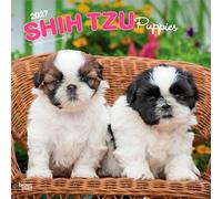 Shih Tzu Puppies 2027 12 X 24 Inch (Hanging) Monthly Square Wall Calendar Plastic-Free
