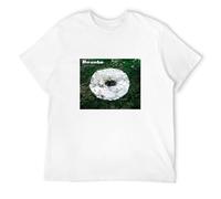 SHIKAIQI Men's Bonobo Days to Come Vinyl CD Cover T-Shirts White 3XL
