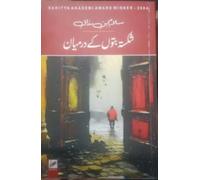 Shikasta Buton Ke Darmeyan ( A Collection Of Short Stories )