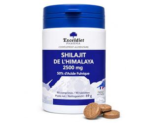 SHILAJIT 2500 mg - Extrait de Shilajit de l'Himalaya - Riche en Acide Fulvique - Énergie, Vitalité et Endurance - Complément Alimentaire Naturel - 90 Comprimés