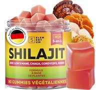 Shilajit Gummies Pure Himalaya - 90 Gommes au Goût Pastèque - 2200 mg avec Reishi, Crinière de Lion, Chaga & Cordyceps - Sans Sucre, Vegan, Naturelles - Shilajit Original du Tibet