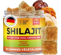 Shilajit Gummies Pure Himalaya - 90 Gommes Naturelles Sans Sucre - 2200mg avec Reishi, Chaga, Cordyceps & Crinière de Lion - Vegan - Shilajite Original Himalaya