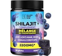 Shilajit Gummies Pure Himalaya - 90 Gommes Sans Sucre 2200mg - Avec Reishi, Crinière de Lion, Chaga & Cordyceps - Complément Végétal Naturel - Vegan - Goût Agréable