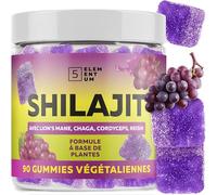 Shilajit - Lot de 90 Gommes Végétales 2200 mg - Formule avec Crinière de Lion, Reishi, Chaga & Cordyceps - Résine Shilajit de l’Himalaya - Vegan & Naturel