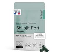 Shilajit Pur d’Himalaya Haut Dosage 1500mg - 60% Acides Fulviques - Complément Alimentaire Énergie, Vitalité - Vegan, sans Lactose, sans Gluten - Cure 3 Mois - 90 Gélules Végétales - Beyond Elements