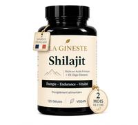 Shilajit Pur Himalaya - 75% Acide Fulvique - 120 Gélules - 1000 mg par dose - Complément Alimentaire Vegan - Cure 60 Jours - LA GINESTE