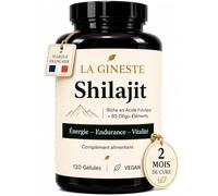 SHILAJIT PUR HIMALAYA | Formule vegan | 120 gélules végétales | LA GINESTE | 2 mois de cure | 2 gélules / jour | Complément alimentaire en capsules | Une formule adaptée aux régimes végétaliens