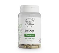 Shilajit Pur, Résine de Shilajit Himalaya - riche en acide fulvique et minéraux essentiels - Produit traditionnel de l'Ayurveda - Authentique et Naturel 90 Gélules