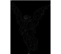 Shiloh Lost For Words