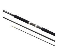 SHIMANO Canne Bateau Spinning Beastmaster CX Innerguide 220cm - 220g - P.100-250g - TR.79cm - BMCXIG220H