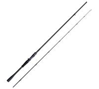 Shimano Fishing Canne Baitcasting 26zodias