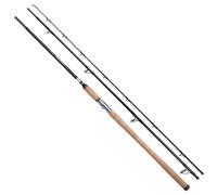 Shimano Fishing Canne Pêche De Fond Speedmaster Salmon Cast