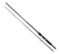 Shimano Fishing Canne Spinning Fx Xt