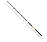Shimano Fishing Canne Spinning Sustain
