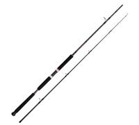 Shimano Fishing Vengeance Ax Pilk Jigging Rod Argenté 2.40 m / 100-200 g