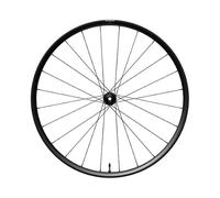 Shimano Rx180 Disc Tubeless Front Wheel Argenté 12 x 100 mm Black