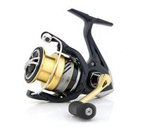Shimano Nasci C2000 HGS FB, Moulinet Spinning avec Frein Avant et Bobine Peu Profonde, NASC2000HGSFB