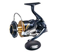 SHIMANO Reel Stella SW C 10000 PG