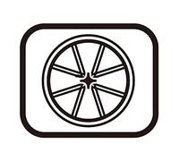 SHIMANO Roue du. RS171-Disque / 12x100 EP / 19C / CL