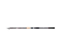 SHIMANO Sienna AR TEGT Glued 2,70m 40-80g 5pc canne spinning précise