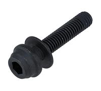 SHIMANO Y2j708000 Boulon de Fixation pour étrier C2 10 mm BR-R8170 Unisexe, Noir, Taille Unique
