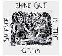 Shine Out in The Wild Silence/a Tribute to David Berman