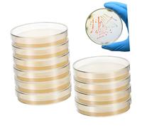 SHINEOFI 20 pièces Boîtes de Pétri Nutrient Agar Préparées pour Laboratoire Accessoires Microbiologie Culture