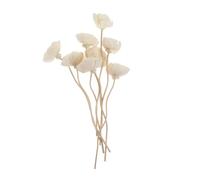 SHINEOFI 8 pièces Bâtons Diffuseurs Rotin Naturels Fleurs Parfum Intérieur Rechargeable Décoration Maison Bureau
