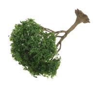 SHINEOFI Arbres Miniatures de Simulation pour Diorama et Table de Sable Modèles Paysage Arbres Artificiels pour Maquettes et Projets Artistiques