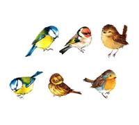 SHINEOFI Autocollant Statique Anti-collision Oiseaux pour Fenêtre en Pvc sans Résidu Forte Adhérence, Décoration Unique pour Protéger Oiseaux et Décorer une Pièce