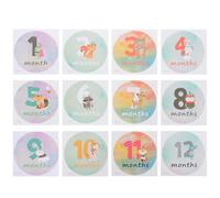 SHINEOFI Autocollants Mensuels Bébé 12 Pièces pour Photos Souvenirs Étanches et Colorés Matériaux Sûrs Accessoires Photo -né pour Suivi Croissance Bébé et Séances