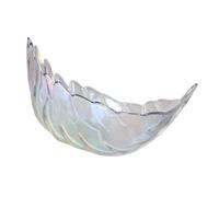 SHINEOFI Bol en Verre Décoratif Multifonction Forme Plume 20 CM Couleur Irisée Nordique pour Fruits Desserts la Cuisine Maison et Fêtes