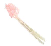 SHINEOFI Lot de 120 Queues de Lapin Séchées Naturelles, Herbe de Queue de Lapin Rose, Plante Séchée Décorative pour Décoration Intérieure, Bouquets DIY, Déco Maison Champêtre et Table