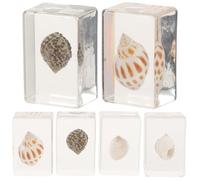 SHINEOFI Lot de 6 Spécimens Marins en Résine Réaliste, Décorations Éducatives pour Bureau, Ornement Coquillages Décoratifs pour Collection et Micro-paysage, Accessoire Style Aléatoire