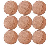 SHINEOFI Lot de 60 Blocs de Terreau en Fibre Végétale Compressée Petits Blocs de Tourbe Absorbants pour Semis Terreau Enrichi pour Plantes D’Intérieur Cactus et Succulentes Substrat de
