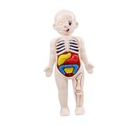 SHINEOFI Modèle Anatomique des Organes Internes Humains Kit Pédagogique Montessori pour École Maternelle Apprentissage Précoce Structure Anatomique Educatif pour Garçon Fille