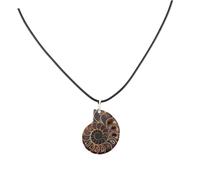 SHINEOFI Pendentif en pierre en spirale spécimen de bijoux d'ammonite Charmes du spécimen de coquillage Charmes naturels de l'ammonite Fossile de conque naturel
