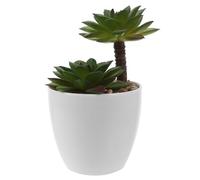 SHINEOFI Plante Grasse Artificielle en Pot Mini Fausse Succulente Décorative 1 Pièce Simulation Réaliste de Plante Succulente pour Décoration Intérieure sans Entretien Bureau Salon