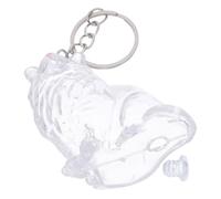 SHINEOFI Porte-clés Commémoratif pour Animaux De Compagnie Boite De Rangement Transparent Abs