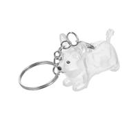 SHINEOFI Porte-clés Urne Souvenir Chien Plastique Transparent Forme Corgi Boîte Commémorative Collecte Poils Animaux Bijou à Main Cadeau Mémorial Polyvalent