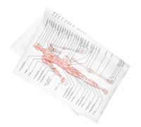 SHINEOFI Poster Anatomie Humaine Soie Illustration Squelette Musculaire Support Pédagogique pour École et Laboratoire