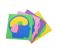 SHINEOFI Puzzle Montessori 4 Pièces Modèlent Cerveau Humain Éducatif pour Tout-Petits et Préscolaire Puzzle D’Anatomie Coloré Stem D’Apprentissage Scientifique et Développement Cognitif
