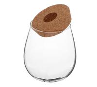 SHINEOFI Vase en Verre Transparent pour Plantes Hydroponiques Support Élégant, Design Compact et Délicat, pour Propagation sans Terre en Intérieur
