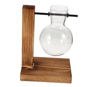 SHINEOFI Vase Verre pour Fleurs Et Plantes Intérieur Vase Hydroponique avec Support Bois Récipient pour Bulbes Et Plantes Aériennes