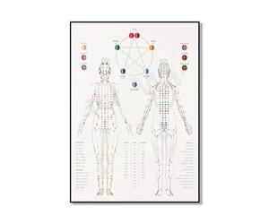SHINERING Diagramme De Diagnostic De La Langue, Acupuncture Du Cuir Chevelu, Impression Méridienne D'Acupuncture. Médecine Traditionnelle Chinoise, Affiche De Phytothérapie A2 30Cmx40Cm Sans Cadre