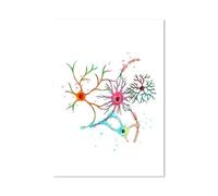 SHINERING Neurone Aquarelle Neuroscience Neurologie Art Mural Affiche Impression Cerveau Anatomie Médecine Toile Peinture Synapse Clinique Chambre Décor A6 50X70Cm Sans Cadre