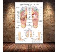 SHINERING Tableau Sur Toile Représentant L'Anatomie Des Points D'Acupuncture Du Pied, Idéal Pour Décorer Un Salon, Une Clinique Ou Une Maison. 60X80Cm Sans Cadre
