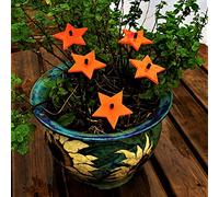 Shining Stars SunCatcher Lot de 5 piquets lumineux pour décoration de jardin 25 cm de hauteur 25,4 cm de haut pour intérieur et extérieur Couleur : rouge fluo