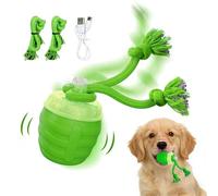 SHINLHUA Jouet pour chien rechargeable avec vitesse variable et effets sonores pour réduire l'ennui et améliorer le jouet pour chien
